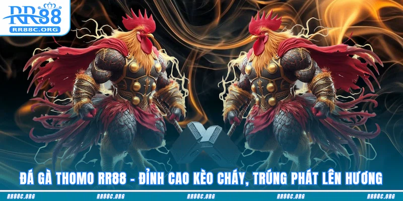 Đá Gà Thomo